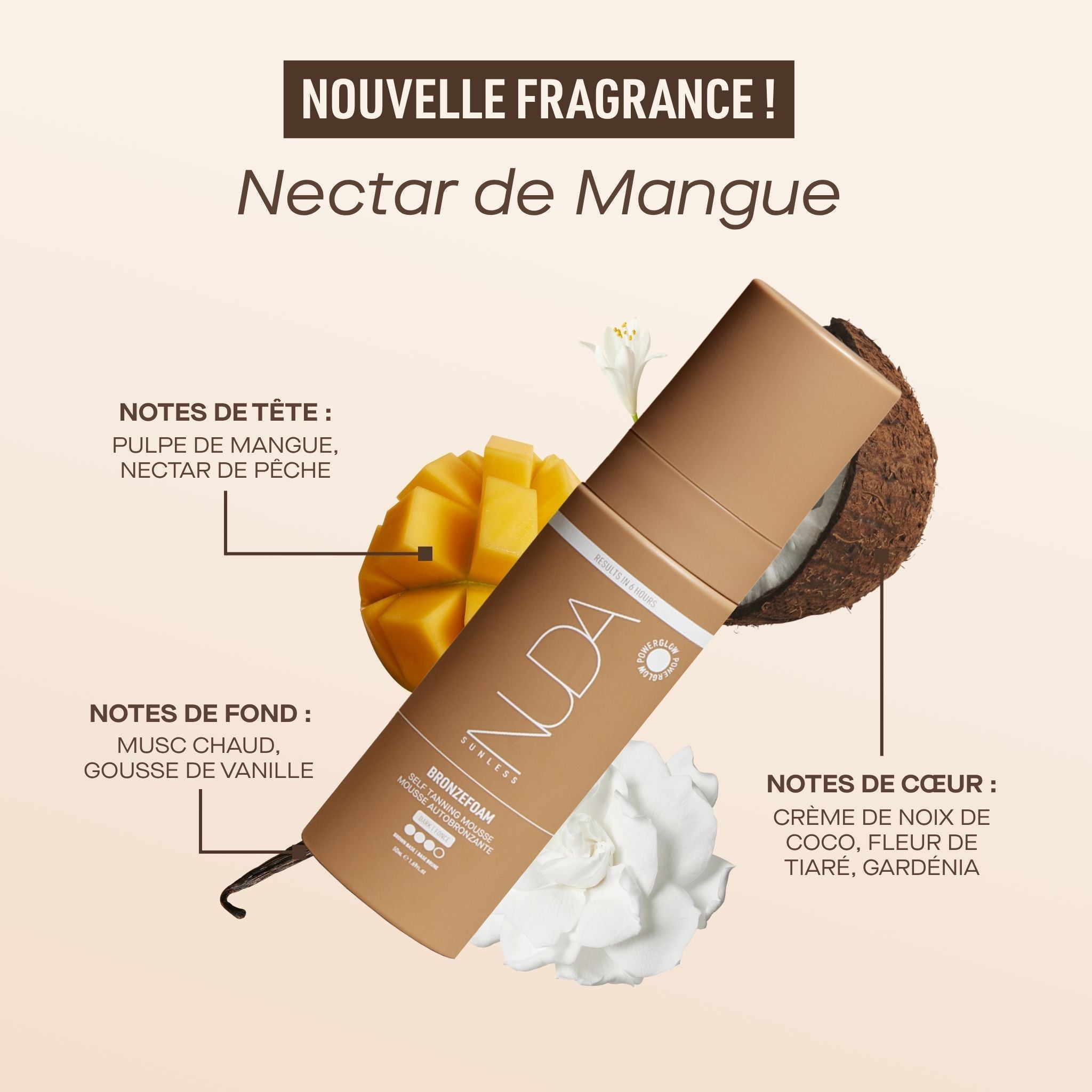 Alt text here (French) | 